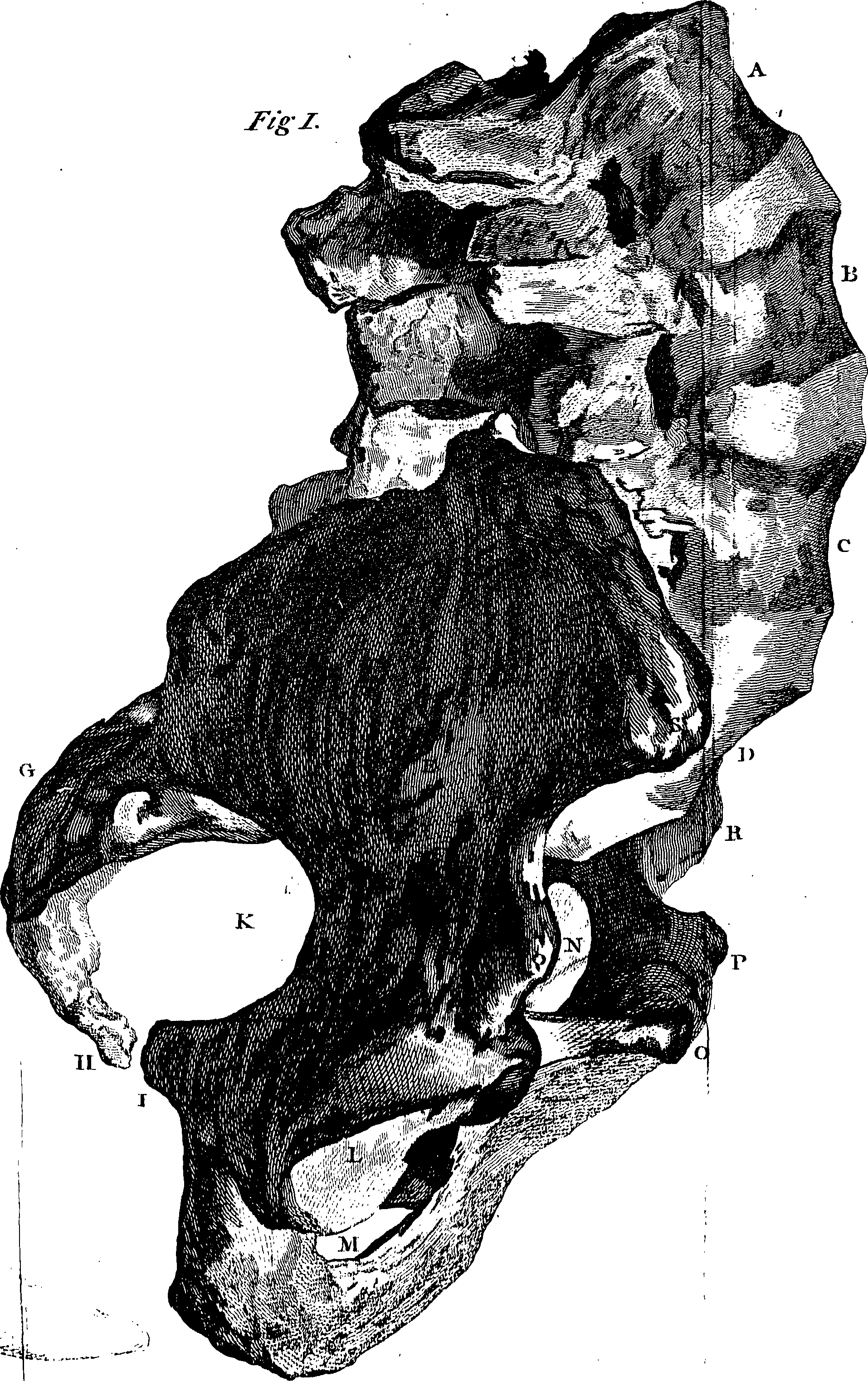 123/123160010404390_0.png