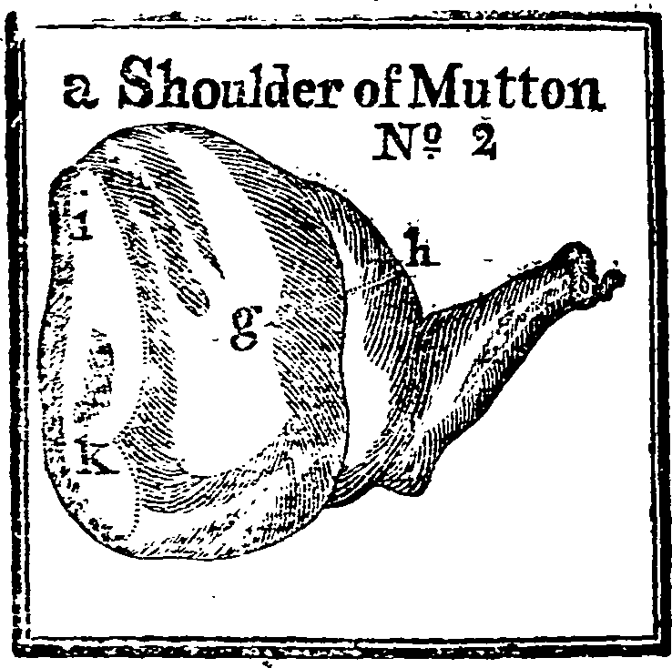 123/123340040000240_0.png