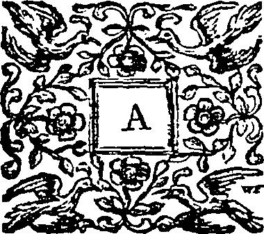 123/123420040000020_0.png