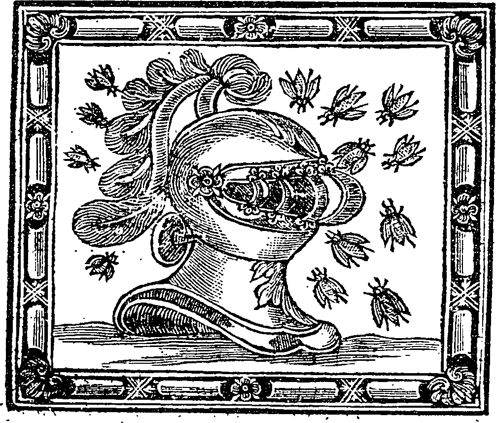 123/123420040000510_0.png