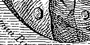 123/123460080000010_0.png