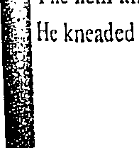 123/123460080000350_0.png