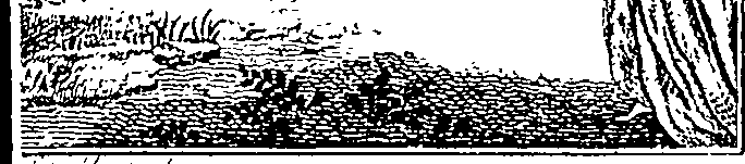 123/123470010000010_0.png