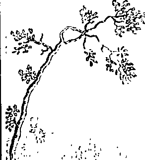 123/123470010000010_2.png