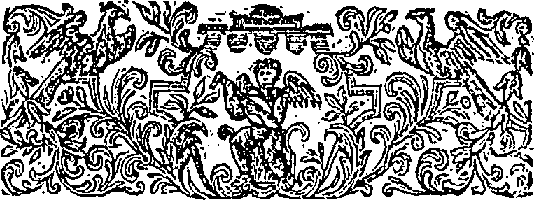 123/123480250100050_1.png