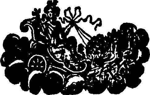 123/123480250100080_0.png