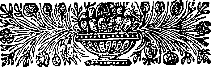 123/123480250200020_0.png