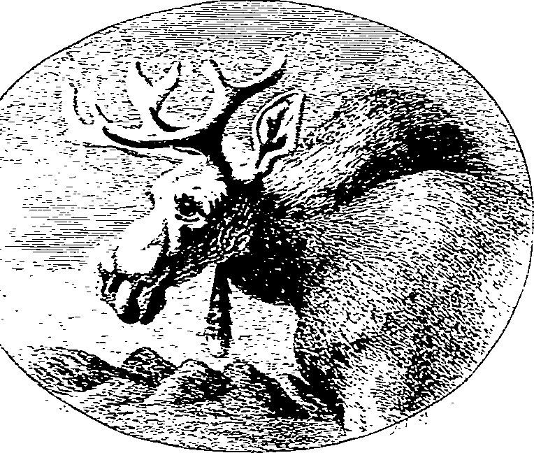 123/123500140100010_0.png