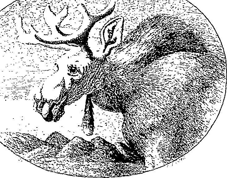 123/123500140100020_0.png