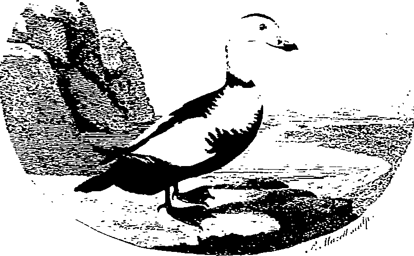 123/123500140200010_0.png