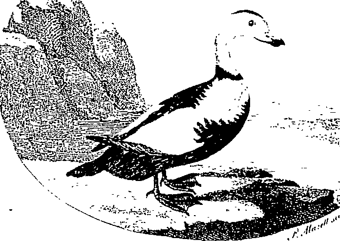 123/123500140200020_0.png