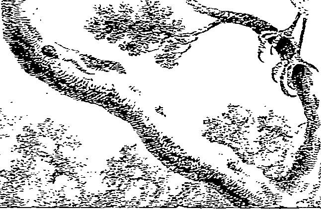 123/123500140200470_0.png