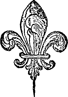 123/123500140200770_0.png