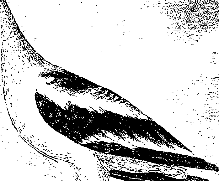 123/123500140202180_1.png