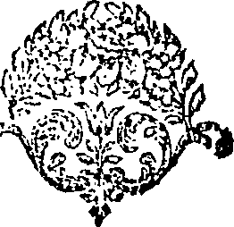123/123620010000460_0.png
