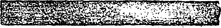 123/123620070000010_1.png
