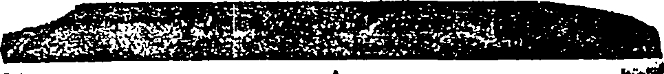123/123620070000030_0.png
