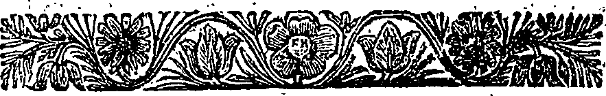 123/123620350000230_0.png
