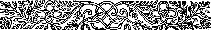 123/123620350000340_1.png