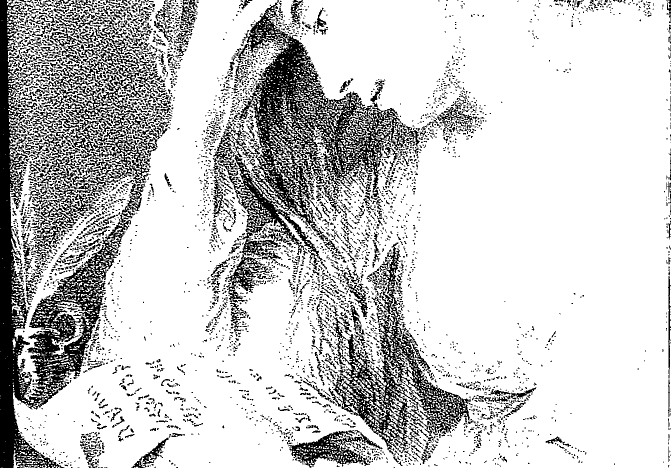 123/123630010604980_1.png