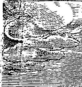 123/123630010704170_0.png