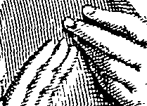 123/123640011003880_0.png