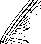 123/123640011003880_1.png