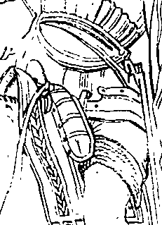 123/123640011102460_0.png