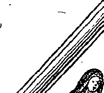 123/123640011201910_0.png