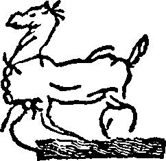 123/123680080001100_0.png