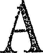 123/123700040000030_0.png