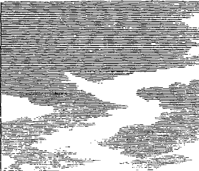 123/123740020004890_0.png