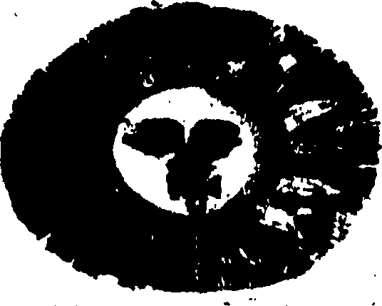 123/123810290000010_0.png
