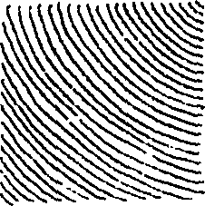 123/123830010005300_1.png
