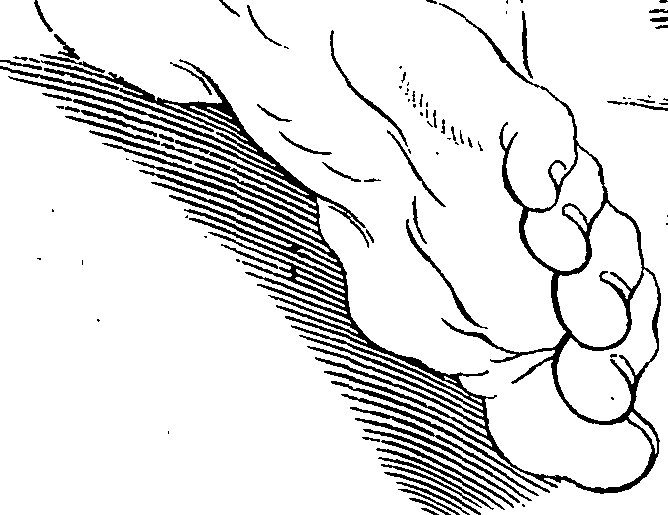 123/123830010005330_0.png