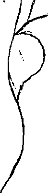 123/123830010005330_1.png