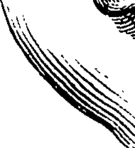 123/123830010005330_2.png