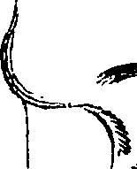 123/123830010005330_3.png