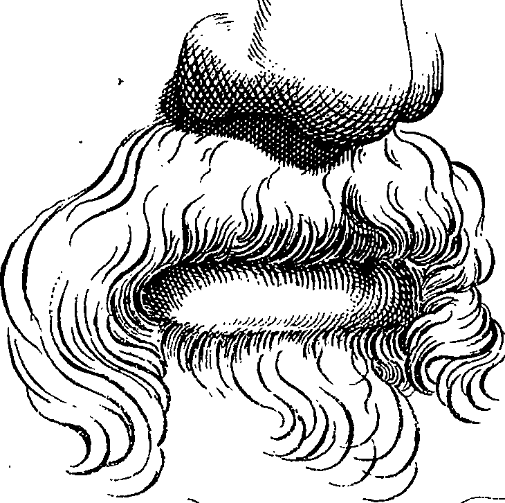 123/123830010005330_5.png