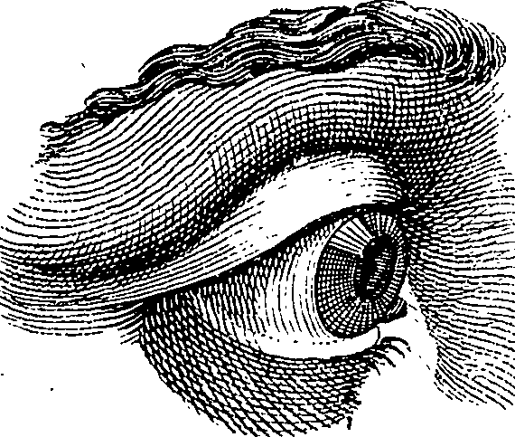 123/123830010005350_1.png