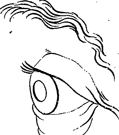 123/123830010005350_3.png