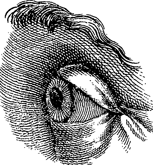 123/123830010005350_4.png