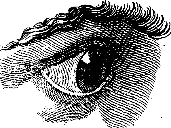 123/123830010005350_6.png