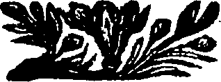 123/123830020005550_0.png