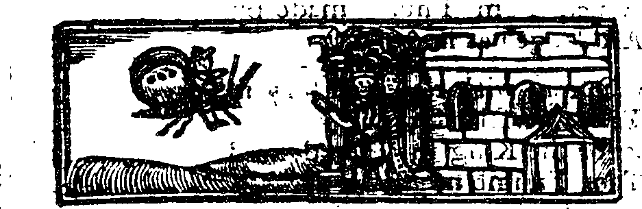 123/123850120000420_0.png