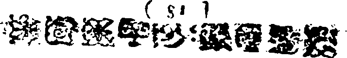 123/123850270000290_2.png