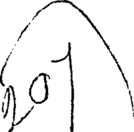 123/123860100000010_0.png