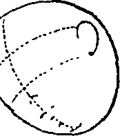 123/123860100000150_0.png