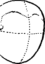 123/123860100000150_3.png