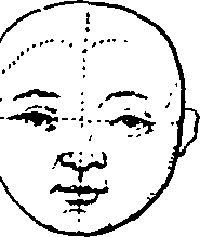 123/123860100000150_4.png